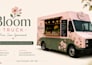 professional canva presentations and pitch decks